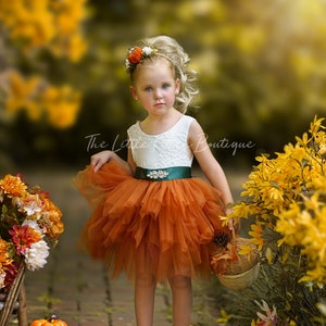 Burnt Orange tulle flower girl dress, Rust Flower Girl Dress, rustic lace flower girl dress, boho flower girl dress, flower girl dress, Rust