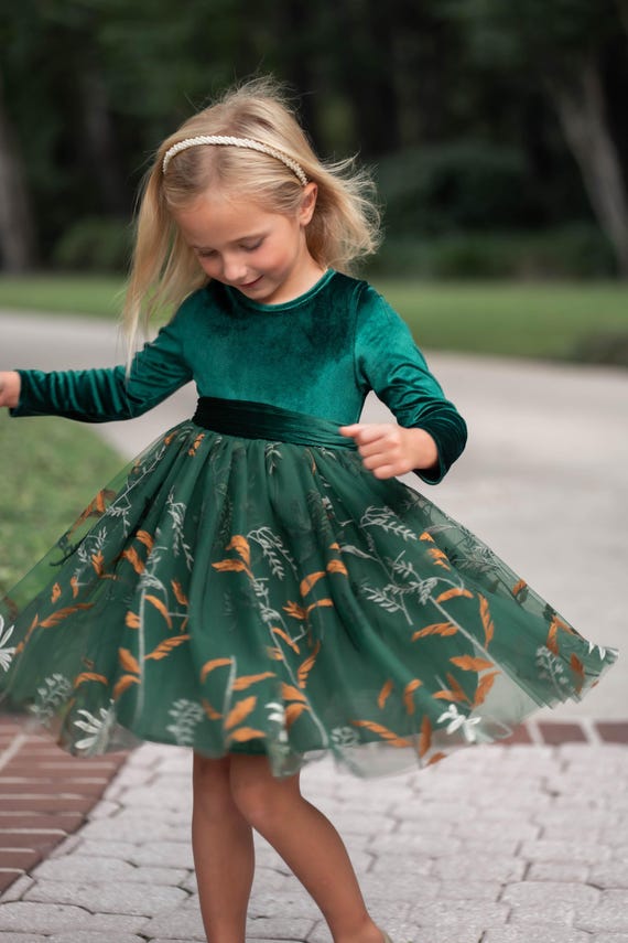 Hunter Green Flower Girl Dress, Long Sleeve Velvet Holiday Dress, Girls Wedding Birthday Party Outfit, Embroidered Tulle Special Occasion