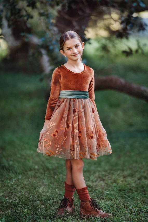 Burnt Orange Velvet Fall Flower Girl Dress, Autumn Tulle Embroidered Dress, Girls Holiday Dress, Rustic Wedding Dress, Thanksgiving Outfit