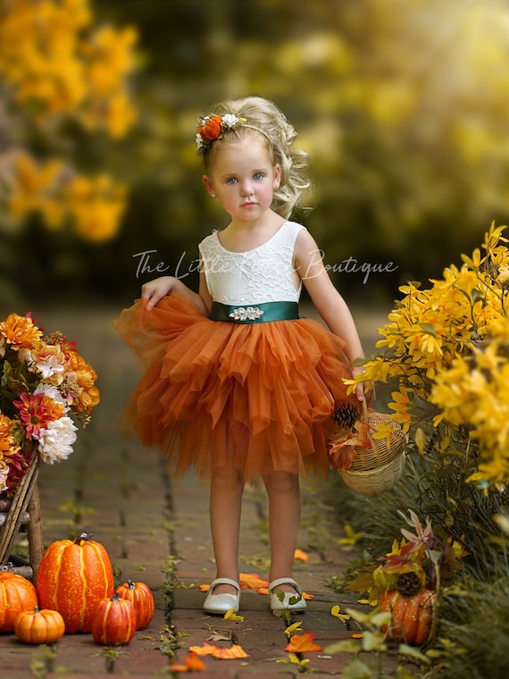 Burnt Orange tulle flower girl dress, Rust Flower Girl Dress, rustic lace flower girl dress, boho flower girl dress, flower girl dress, Rust