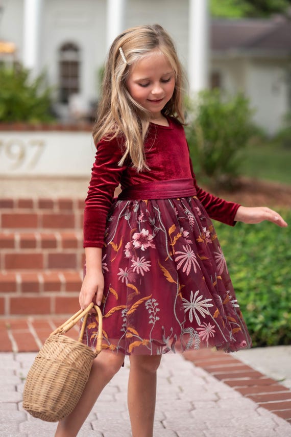 Burgundy Flower Girl Dress, Long Sleeve Velvet Holiday Dress, Girls Wedding Birthday Party Outfit, Embroidered Tulle Special Occasion