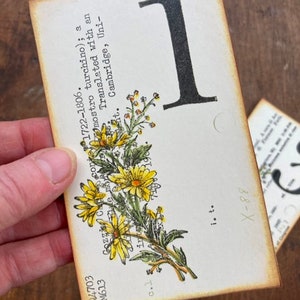 Wedding Table Numbers Vintage Library Cards Numbers 1-24 Available Price PER Card Yellow Floral Spray Outdoor Garden Wedding Ecru/yellow floral