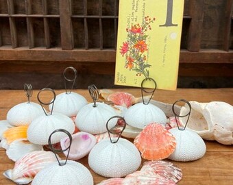 Wedding Table Number Holders Sea Urchins White Resin Beach Seaside Wedding Decor Set of 8