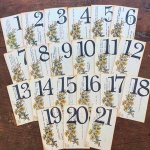 Wedding Table Numbers Vintage Library Cards Numbers 1-24 Available Price PER Card Yellow Floral Spray Outdoor Garden Wedding image 9