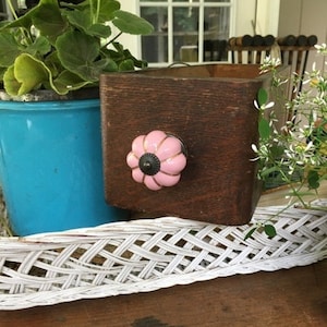 May include: A dark brown wooden box with a pink and black floral knob. A blue planter with green leaves is to the left. The box is on a white woven tray.