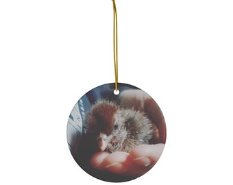 Baby Chick Ceramic Ornament, 1-Pack