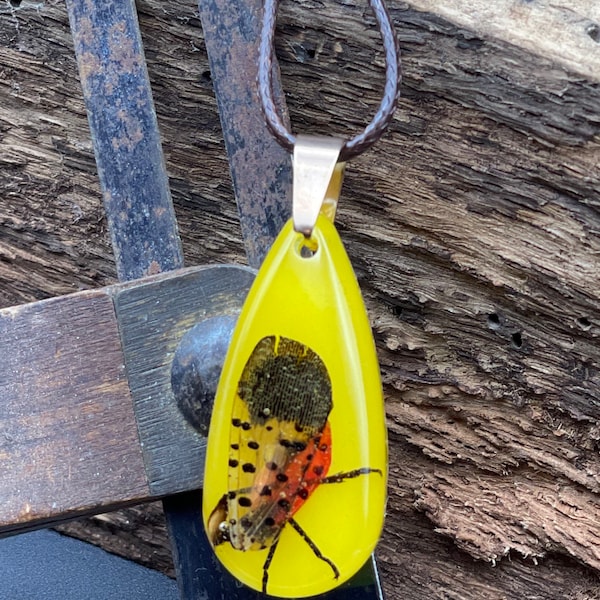 Lantern Fly wings and legs Resin Necklace