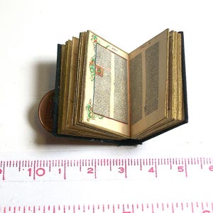 May include: A miniature book with a blue cover and gold-gilded pages. The book is open to reveal a page with black text and floral illustrations.
