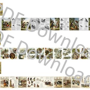 Peut inclure: Une collection vintage de pages illustrées mettant en scène divers animaux, dont des oiseaux, un coq et un chat. Les pages comprennent également des tableaux de l'alphabet, une scène de cirque et une scène de train.
