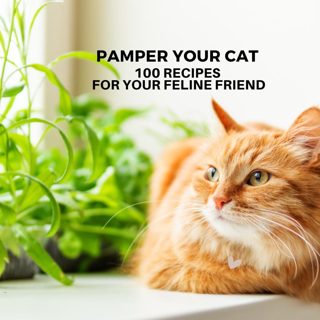 Ebook 100 Cat Treat Recipes Pamper Your Cat 104 Page Ebook