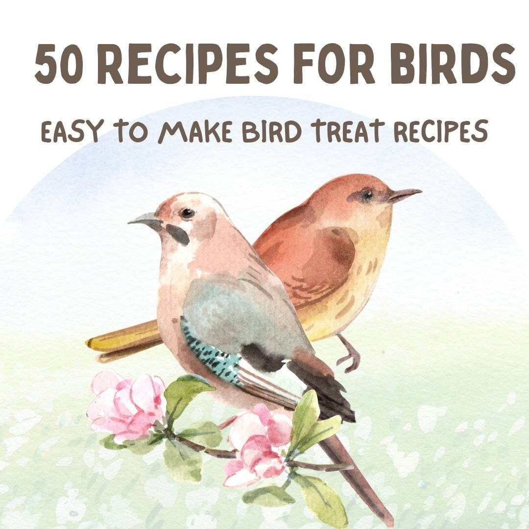 Ebook 50 Bird Treat Recipes Homemade Bird Treats/snacks Etsy