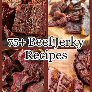 eBook - 75+ Beef Jerky Recipes - homestyle/venison/teriyaki/Hawaiian/spicy/smoked/tofu/southwest/honey lemon/marinated/deer jerky/camp chili