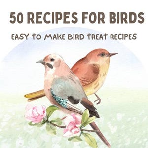 eBook - 50 Bird Treat Recipes - bird seed mix/suet/snacks/duck treats/hummingbird nectar - homemade bird food/backyard bird treat - with PLR