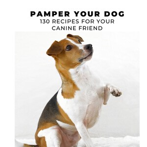 Puede incluir: Un perro marr&oacute;n, blanco y negro est&aacute; sentado sobre una superficie blanca y esponjosa. El perro est&aacute; mirando hacia arriba y tiene su pata derecha levantada. El texto "PAMPER YOUR DOG 130 RECIPES FOR YOUR CANINE FRIEND" est&aacute; por encima del perro.