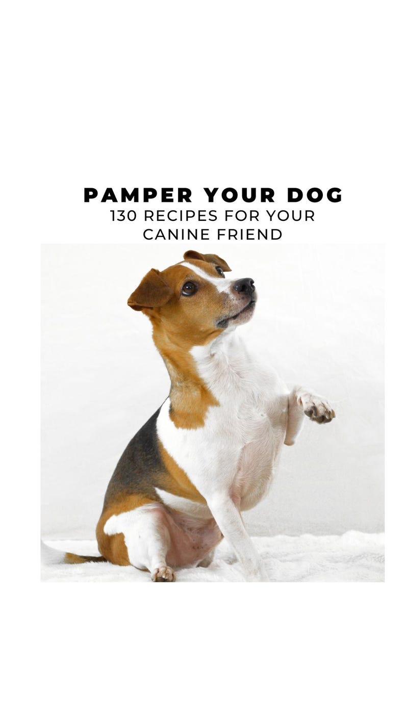 Puede incluir: Un perro marr&oacute;n, blanco y negro est&aacute; sentado sobre una superficie blanca y esponjosa. El perro est&aacute; mirando hacia arriba y tiene su pata derecha levantada. El texto "PAMPER YOUR DOG 130 RECIPES FOR YOUR CANINE FRIEND" est&aacute; por encima del perro.