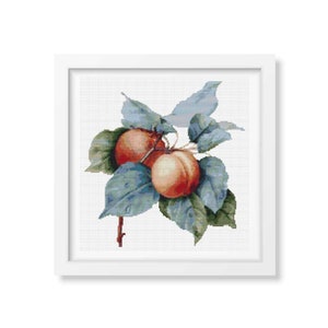 FULL KIT Apricots Cross Stitch Kit, Fruit Embroidery Kit, Pierre-Joseph Redoute image 2