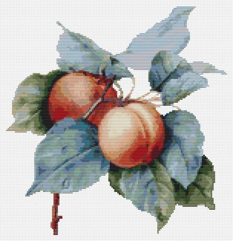 FULL KIT Apricots Cross Stitch Kit, Fruit Embroidery Kit, Pierre-Joseph Redoute image 3