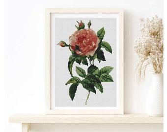 PATTERN PDF Rosa Gallica Regalis Cross Stitch Pattern, Rose Embroidery Chart PDF, Pierre-Joseph Redoute