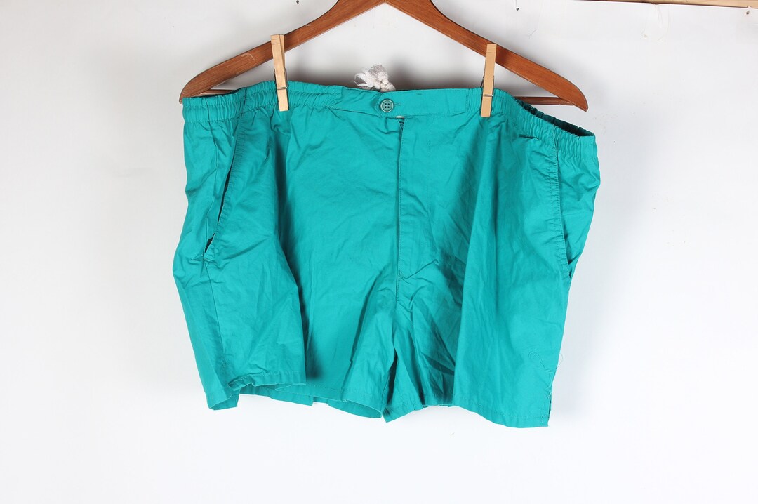 The 1979 - Swim Trunks