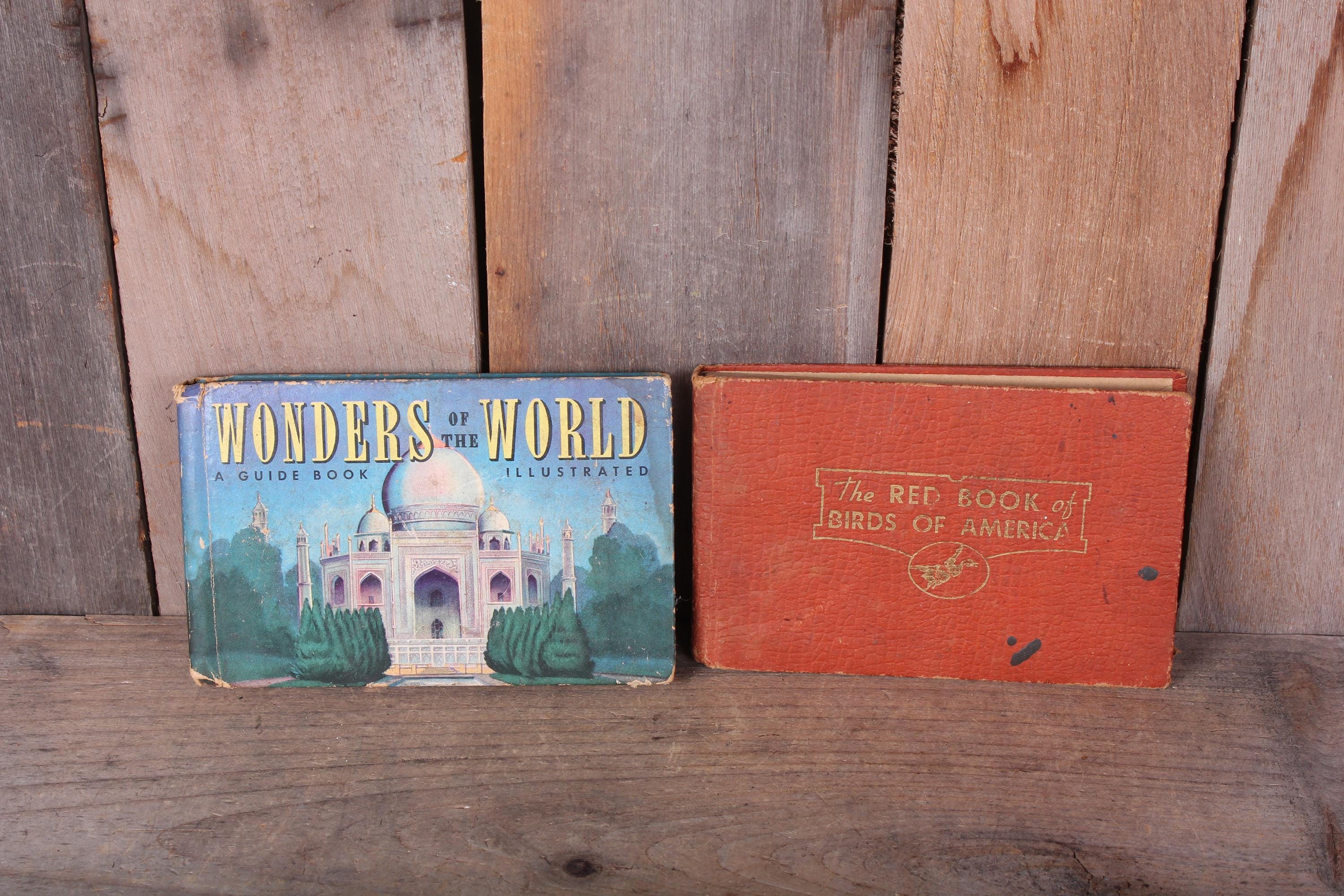 Mini History Book - Etsy