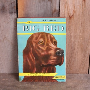 1945 Big Red Illustrated Young Adult Children&#39;s Fiction Book with Illustrations