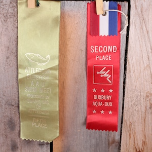 Vintage 1970&#39;s Era Swimming Ribbons New England 2