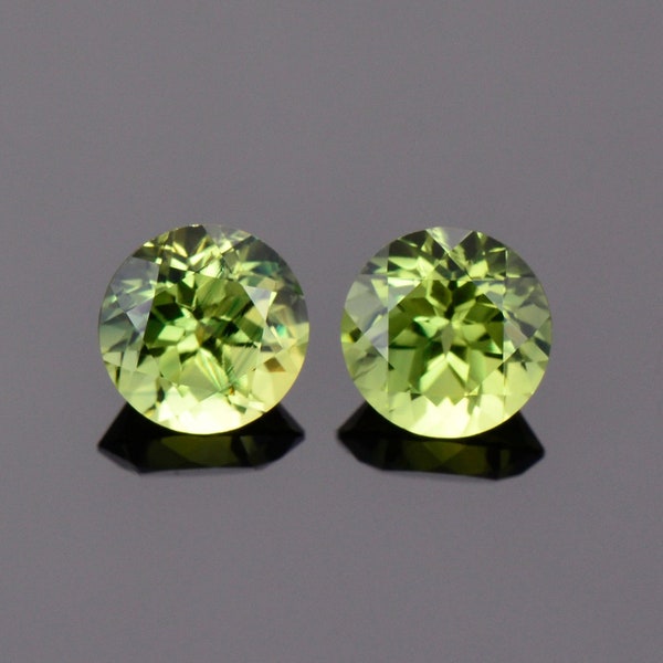 Fabulous Green Yellow Sapphire Gemstone Match Pair from Australia, 2.22 tcw., 6 mm., Round Shape