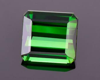 Stunning Rich Green Tourmaline Gemstone from Brazil, 5.60 cts., 10.7x9.8 mm., Emerald Cut