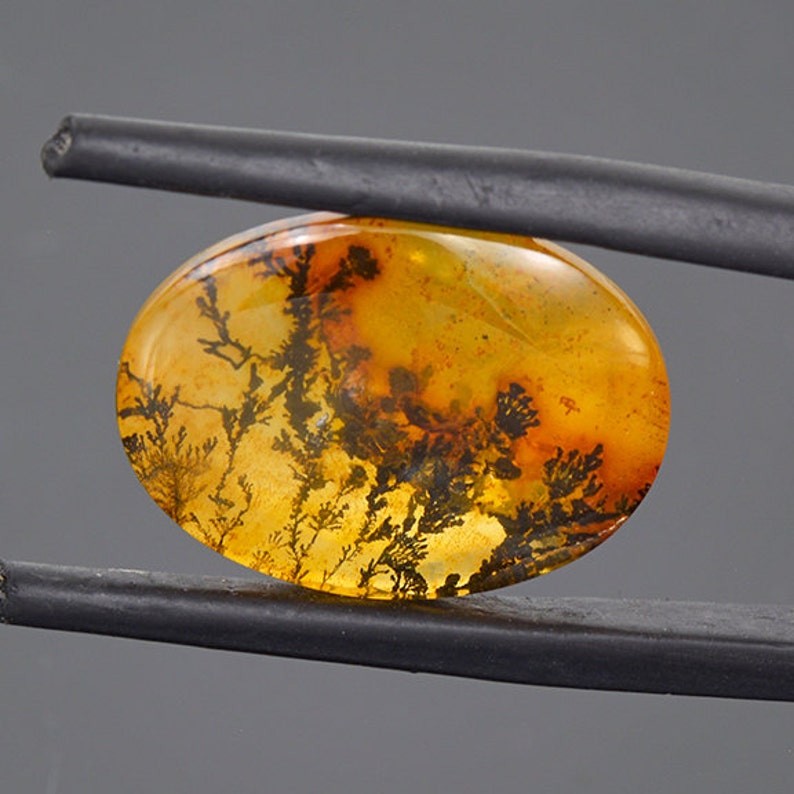 Picturesque Dendritic Quartz Gemstone from Brazil 12.22 cts
