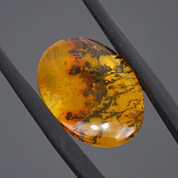 dendrite stone dendrite stone