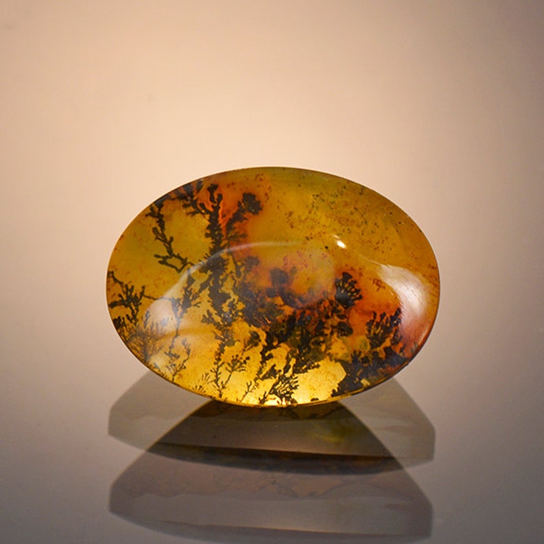 Picturesque Dendritic Quartz Gemstone from Brazil 12.22 cts