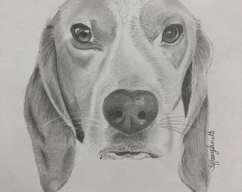 Retratos de mascotas en grafito