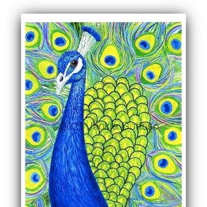 Peacock art print, 8 x 10 Giclee, Peacock collage art, Acrylic peacock painting print, Peacock wall art, Illustration