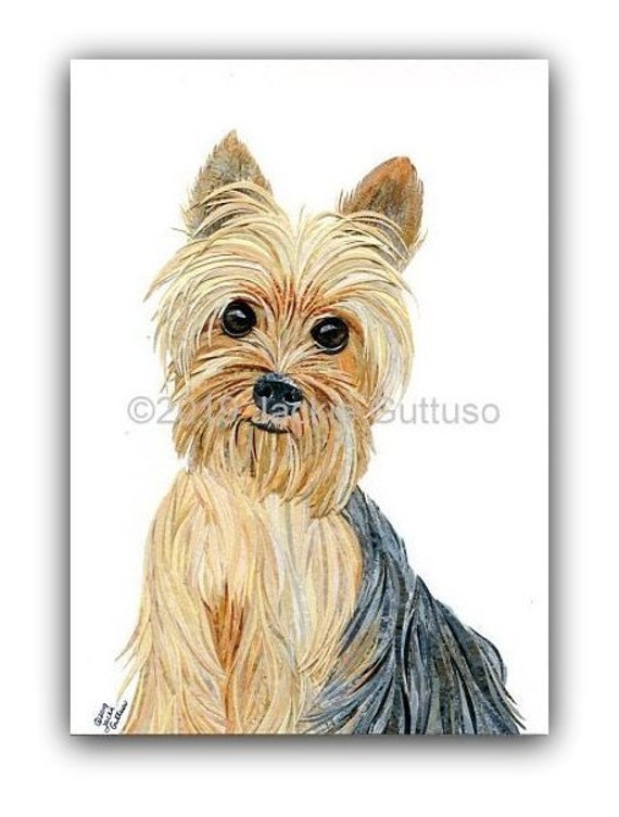 NEW U German Yorkshire Terrier MATTED Dog Art Print 