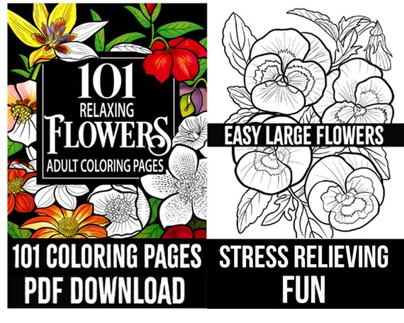 Adult Coloring Book - Chinese Floral Patterns, 24 Pages, 6x8 Inches, Vintage Style
