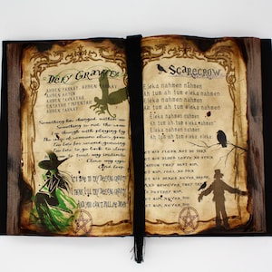 Defy Gravity and Scarecrow Spell Wicked The Musical Inspired Spell Book