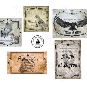 Könnte beinhalten: Fünf Etiketten im Vintage-Stil mit Schwarzweiß-Illustrationen von Vögeln. Die Etiketten sind für "Wing of Jay", "Falcon Quill", "Essence of Raven", "Feather of Owl" und "Flight of Pigeon".