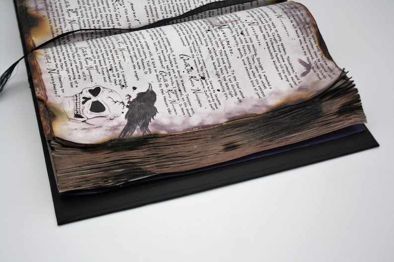 May include: A vintage book with a black cover and a skull and raven illustration on the front page. The pages are aged and have a burnt look. The book is open to a page with handwritten text.