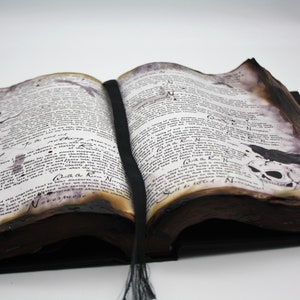 May include: An open, antique-looking book with brown leather binding and aged pages. The pages are filled with text and illustrations, including a skeletal skull and a raven. The book is open to a page with the text "Quoth the Raven, Nevermore".