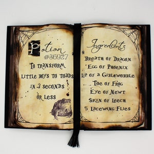 Potion 36927 Boys Into Toads Spell Book - Etsy