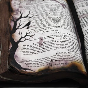 May include: An open book with aged, yellowed pages and a black leather spine. The pages are filled with handwritten text and illustrations of a raven and a tree. The text includes the phrase "Tis the wind and nothing more."