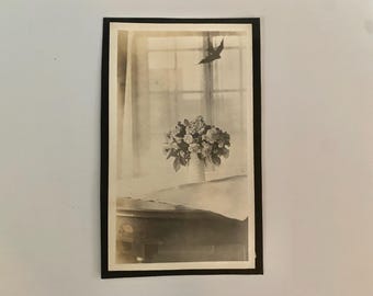 Vintage Snapshot Dreamy Interior Window Light Flower Vase Bird Silhouette Ethereal Black & White Photo