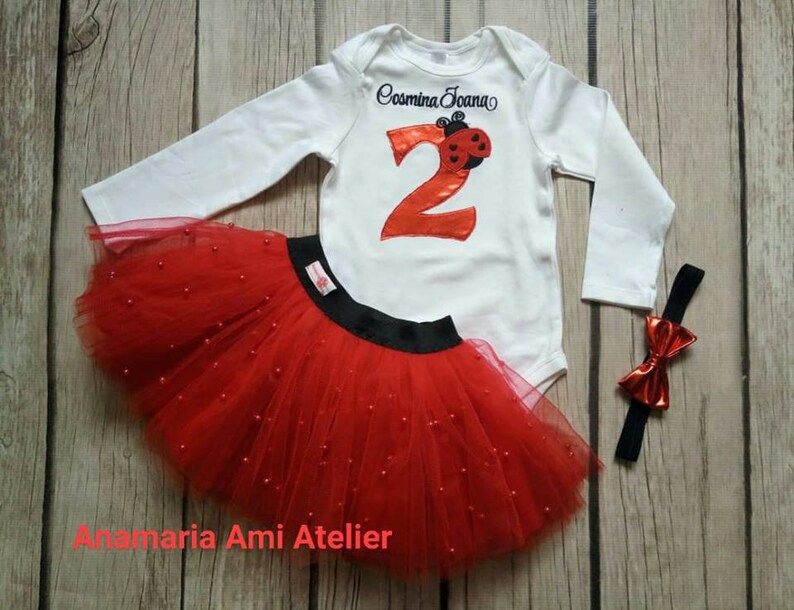 Anniversary LADYBUG skirt outfit embroidery