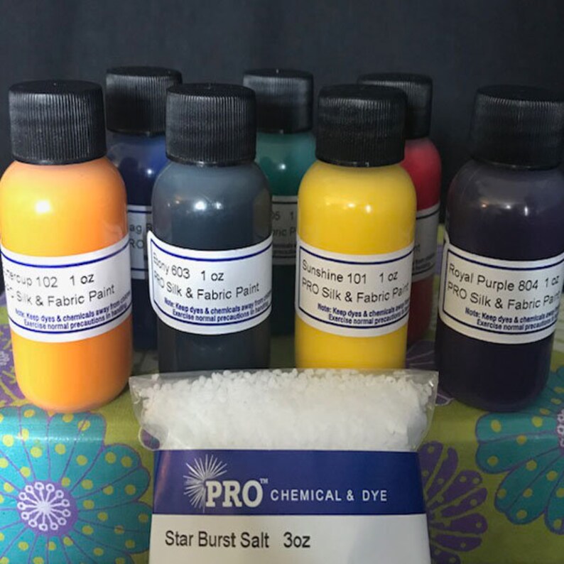 FREE SHIPPING PRO Silk & Fabric Paint Kit Etsy