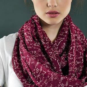 Math Gift Claret Red Mathematics Pattern Infinity Scarf Gift for Women Accessories Scarf Mathematician Engineer Teacher Gift black friday image 1