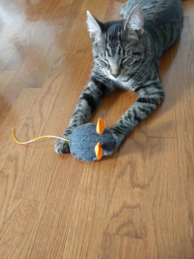 Felted Wool Mouse Toy for Your Kitty With Pocket for Catnip or Etsy