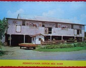 Pennysylvania Dutch Hex Barn, Vintage Postcard, Nelson Jones, 1940