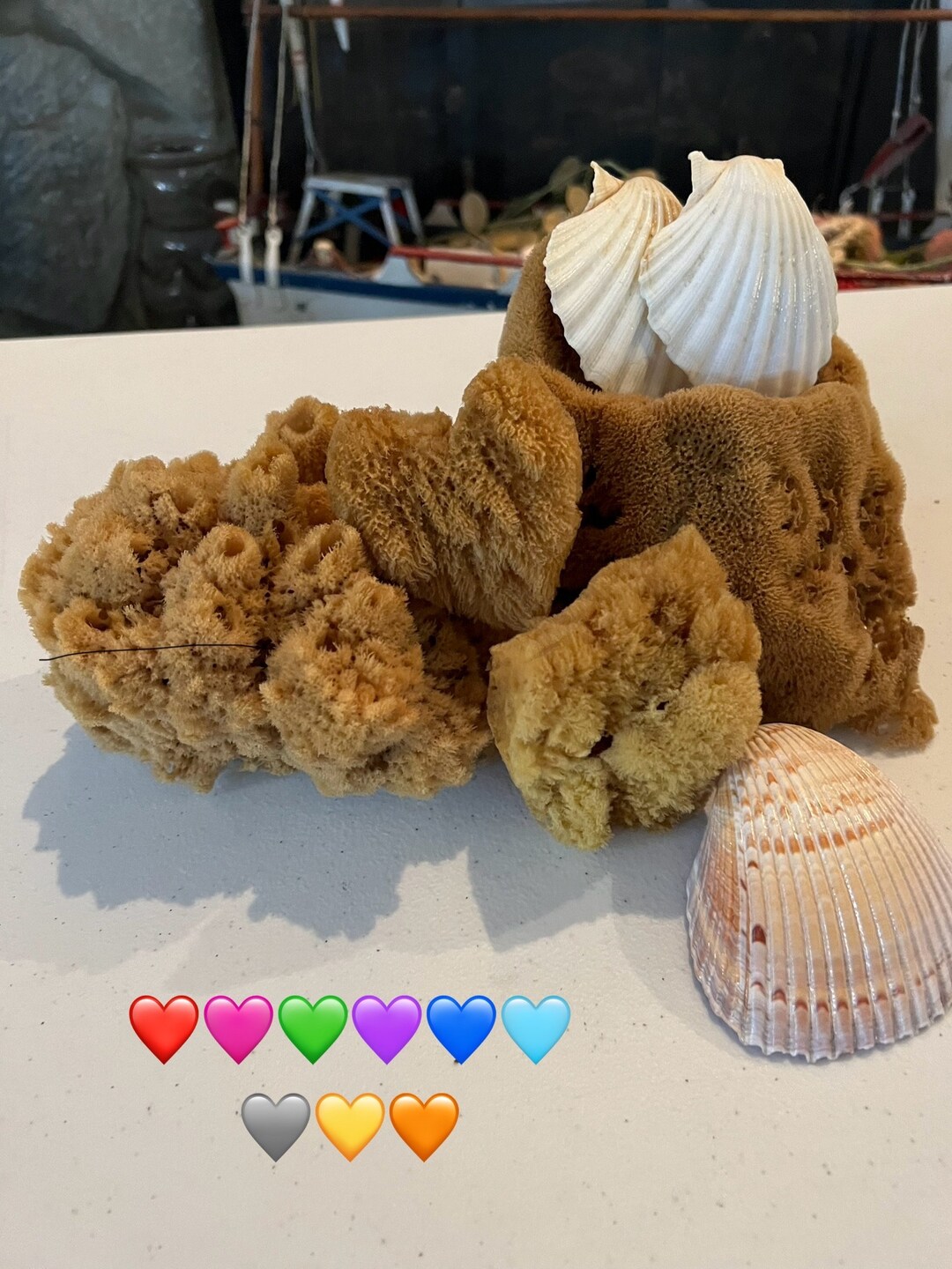Nautical Gifts 7 VARIETY Tabletop Display Sea Sponge Sea Shell Cottage ...
