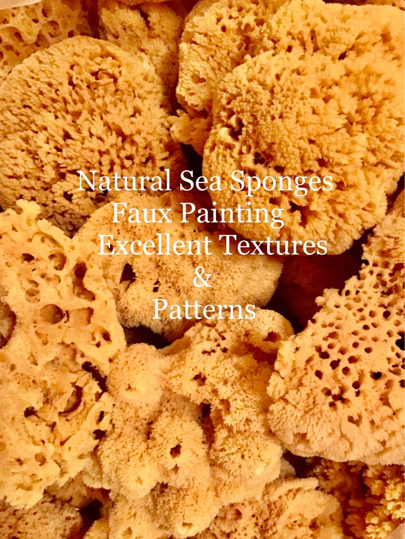 Artist 3 Lg Yellow Sea Sponges Faux Painting Pottery Art Etsy