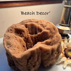 Nautical Beachfront Tabletop Sea Sponge Grass aka CuriosSea Sponge Cottage Chic Display corks shells Interior Exterior Deco bath spg incl